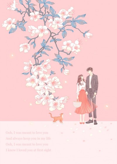 ����ҹսħ������ȫ������Ķ�