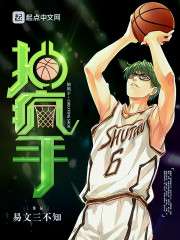 Ҷ������ȫ������Ķ�