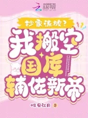 抄家流放?我搬空国库辅佐新帝全文免费阅读