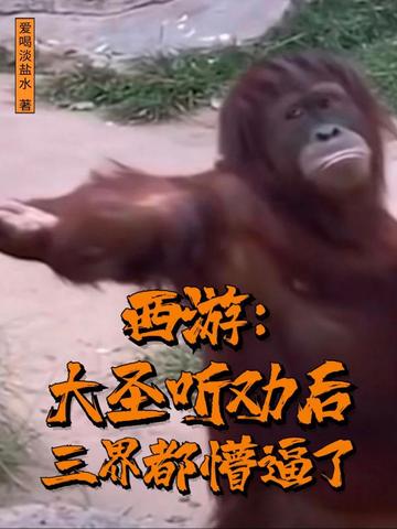 ���Σ���ʥ��Ȱ�����綼�±���ȫ������Ķ�