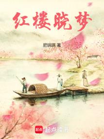 ��¥����ȫ������Ķ�