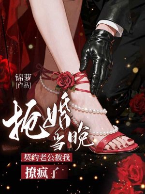 抢婚当晚,契约老公被我撩疯了全文免费阅读