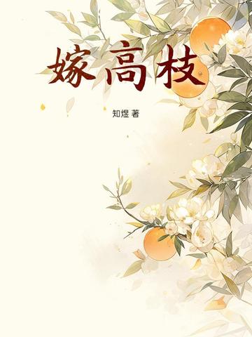 �޸�֦ȫ������Ķ�